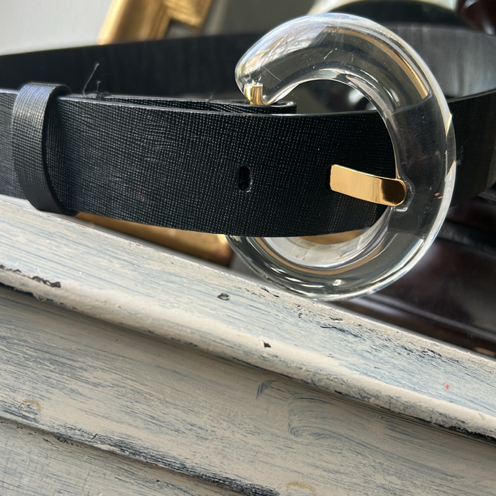 Lizzie Fortunato Black Belt With Clear Resin Buckle